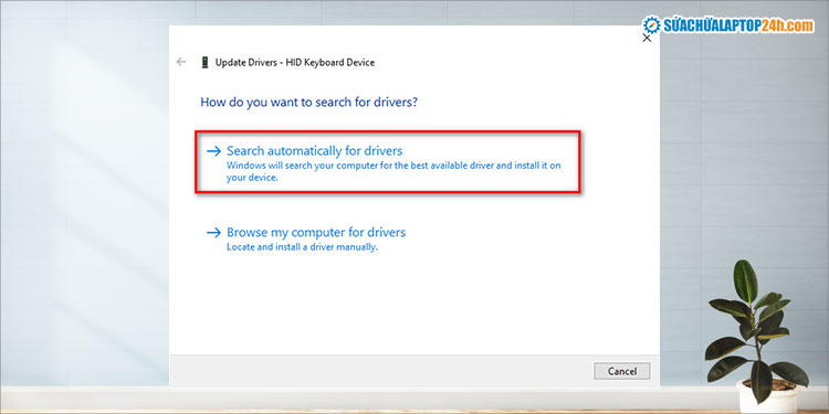 Chọn Search automatically for updated driver software