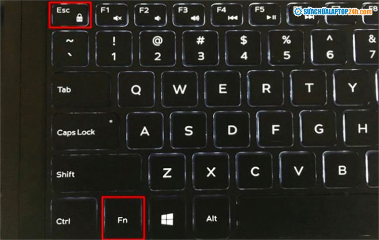 Nhấn tổ hợp phím Fn + phím có biểu tượng khóa như hình