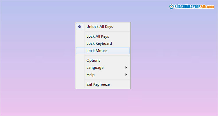 Các tùy chọn khóa của phần mềm KeyFreeze